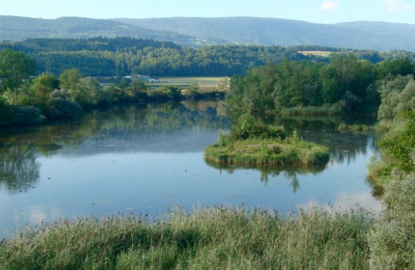 200618_Häftli1.png