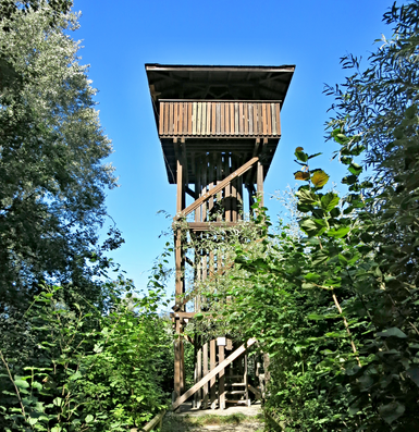 200618_Häftli2.png